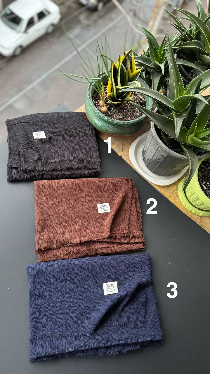 photo_4_2025-11-09_04-23-59