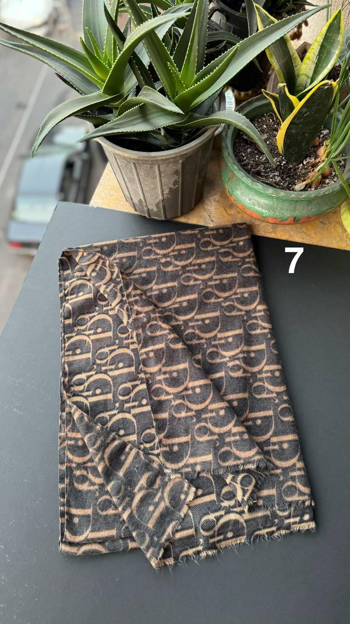 photo_4_2025-11-10_02-46-49