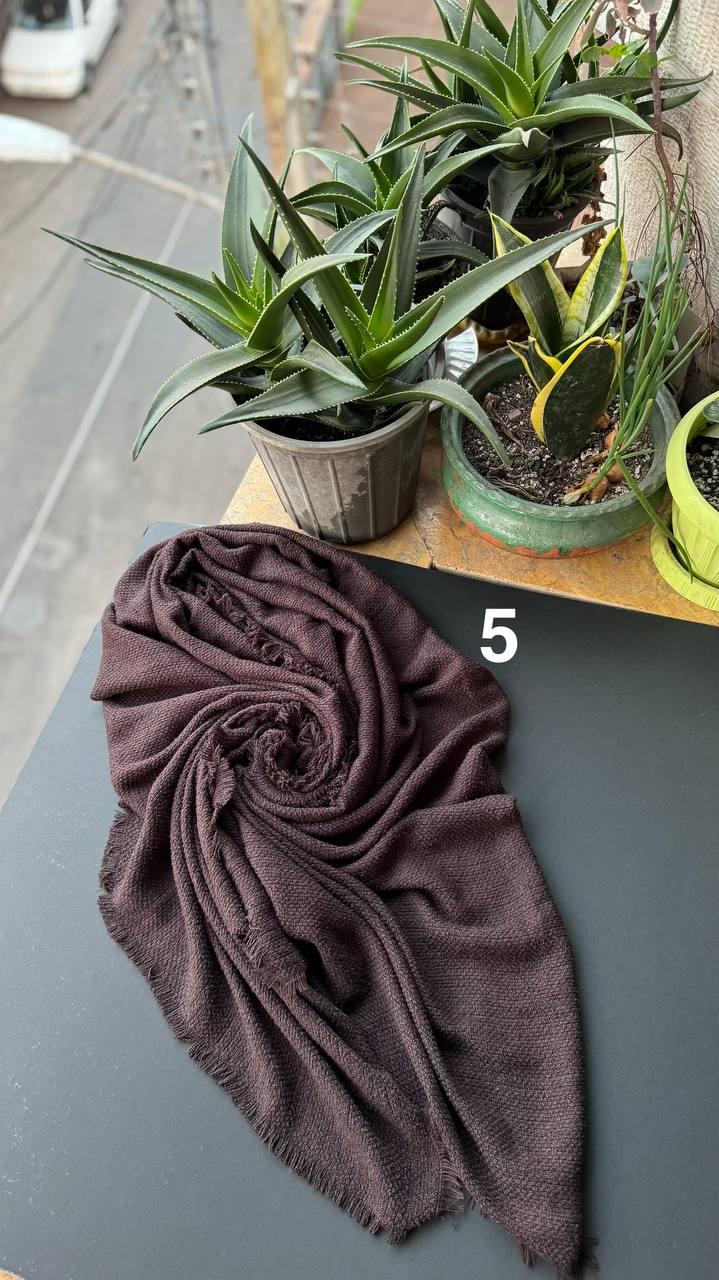 photo_4_2025-11-10_16-39-42