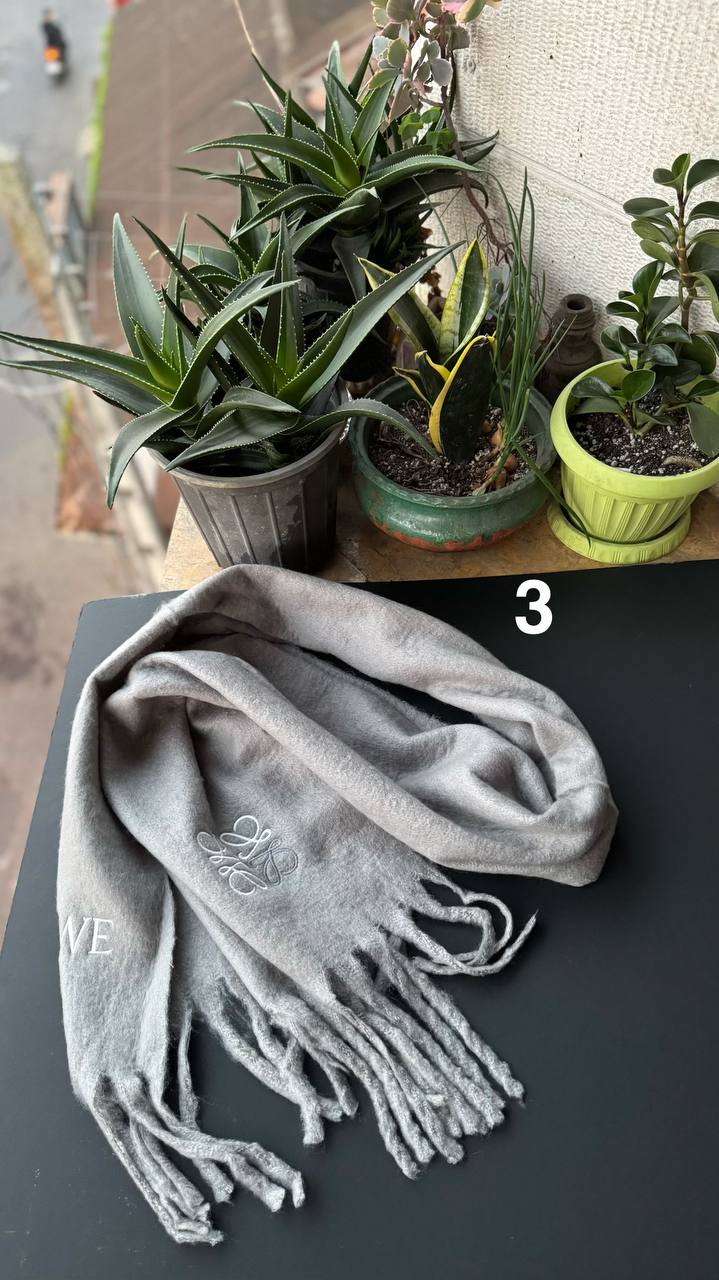 photo_4_2025-11-13_17-38-23