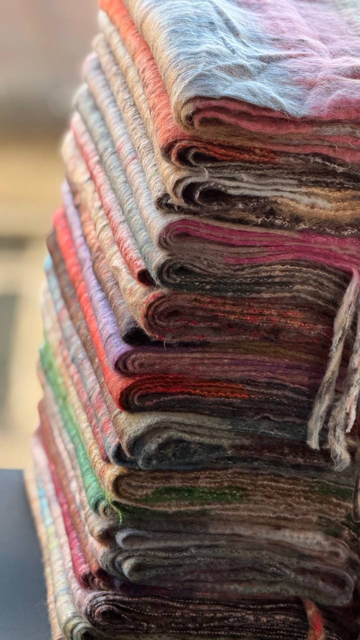 photo_4_2025-11-19_16-44-23