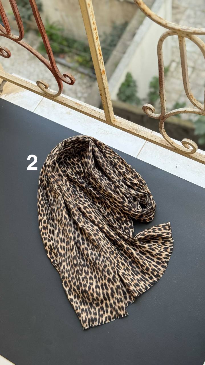 photo_4_2025-11-20_03-43-36