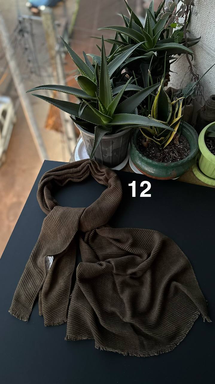 photo_4_2025-11-25_06-51-36