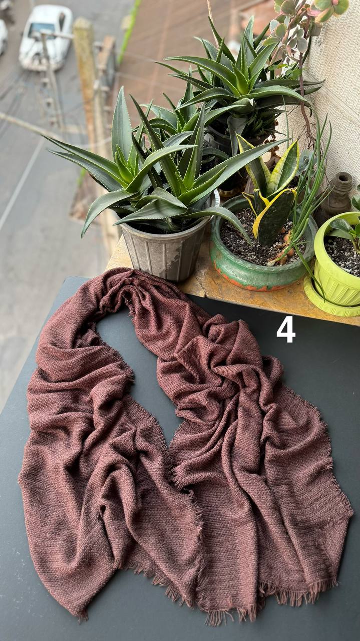 photo_5_2025-11-10_16-39-42