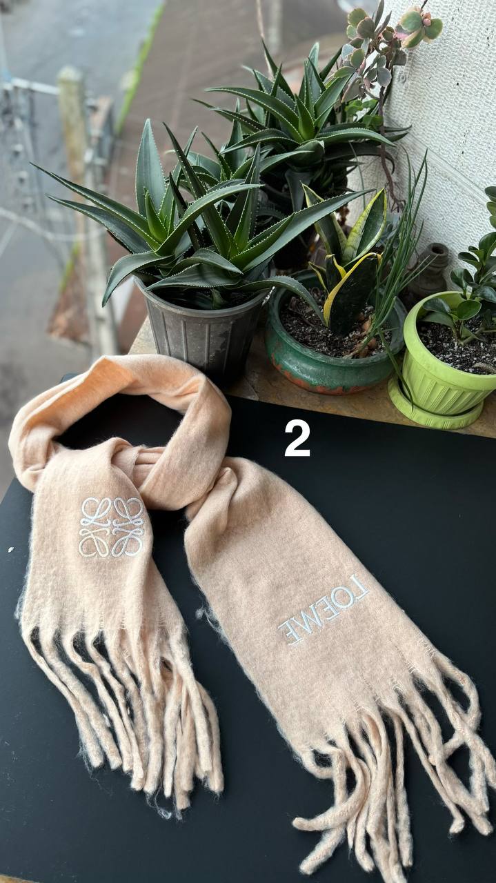 photo_5_2025-11-13_17-38-23