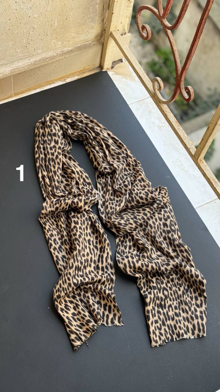 photo_5_2025-11-20_03-43-36