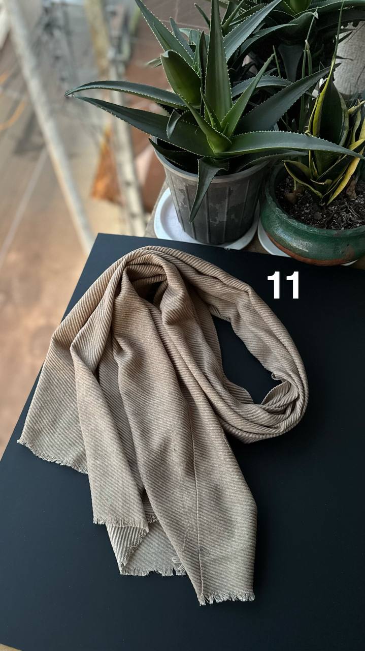 photo_5_2025-11-25_06-51-36