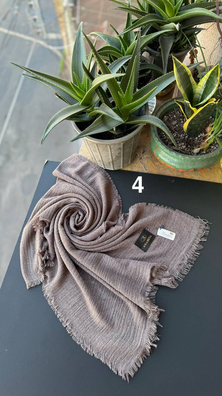 photo_6_2025-11-07_15-21-19