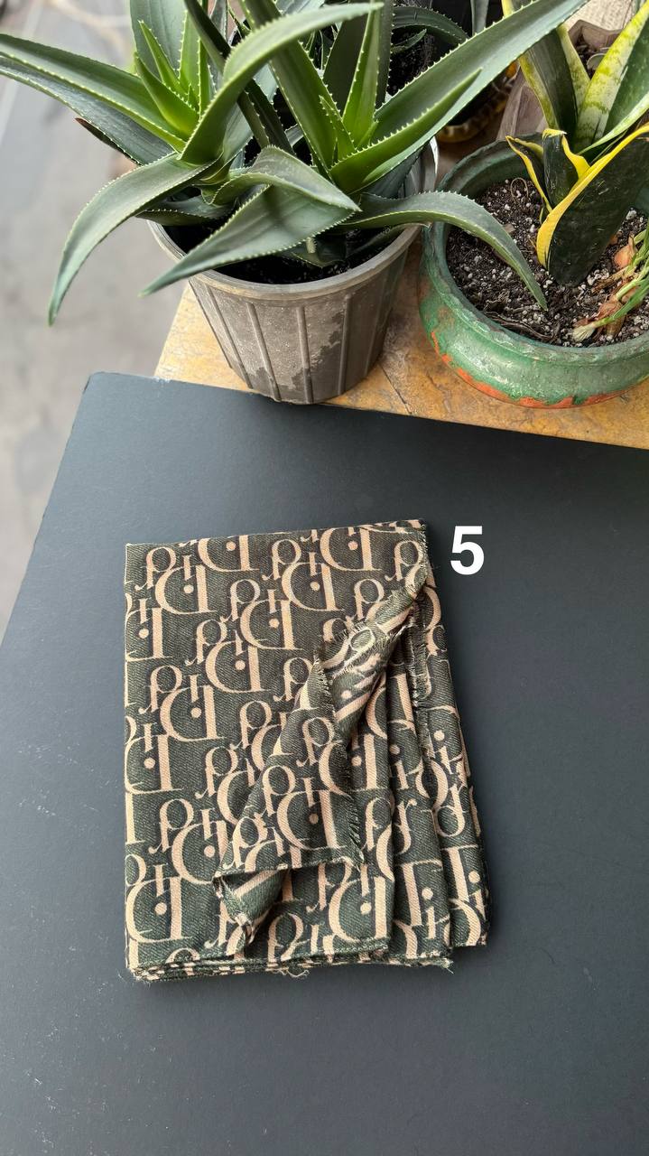 photo_6_2025-11-10_02-46-49