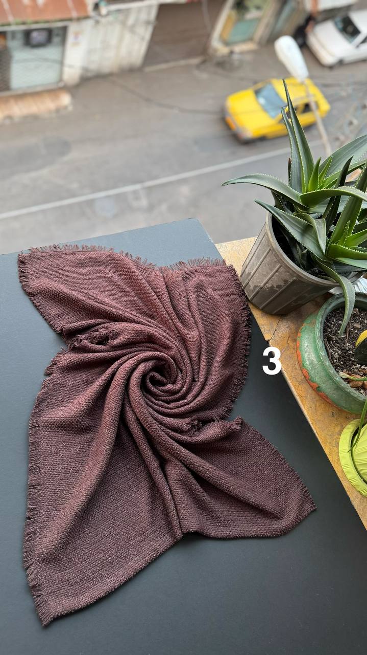 photo_6_2025-11-10_16-39-42