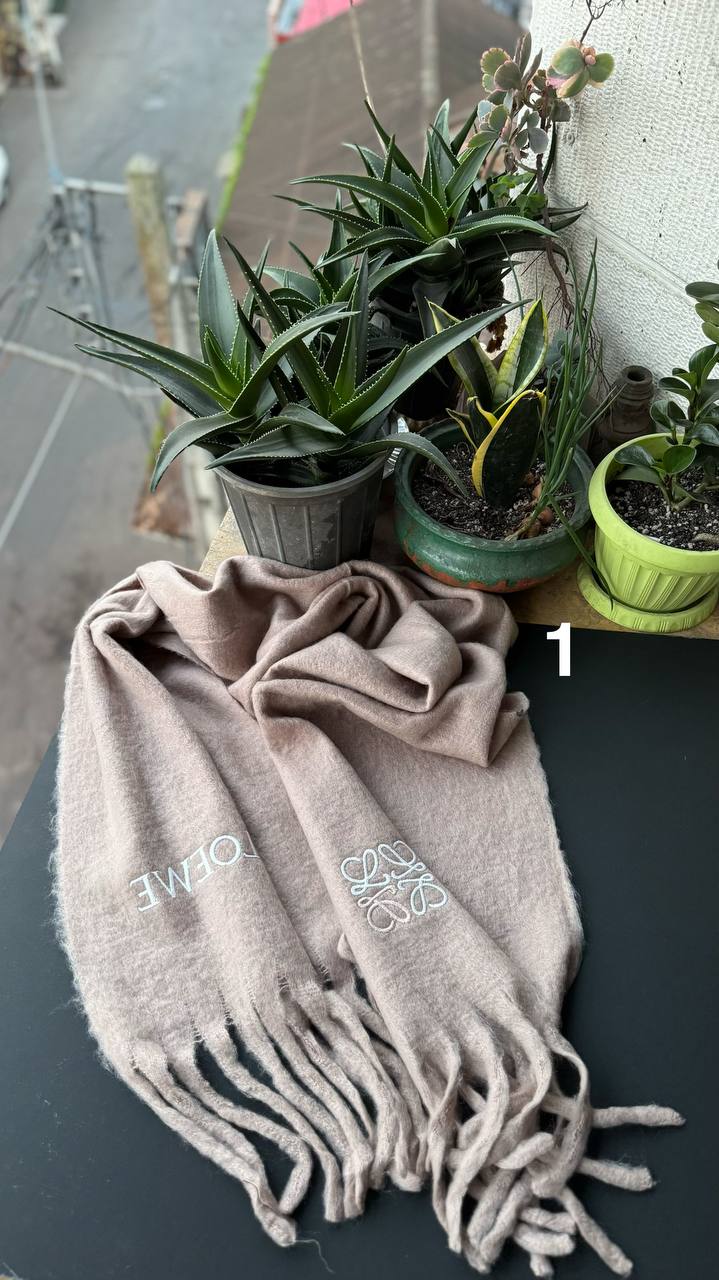 photo_6_2025-11-13_17-38-23