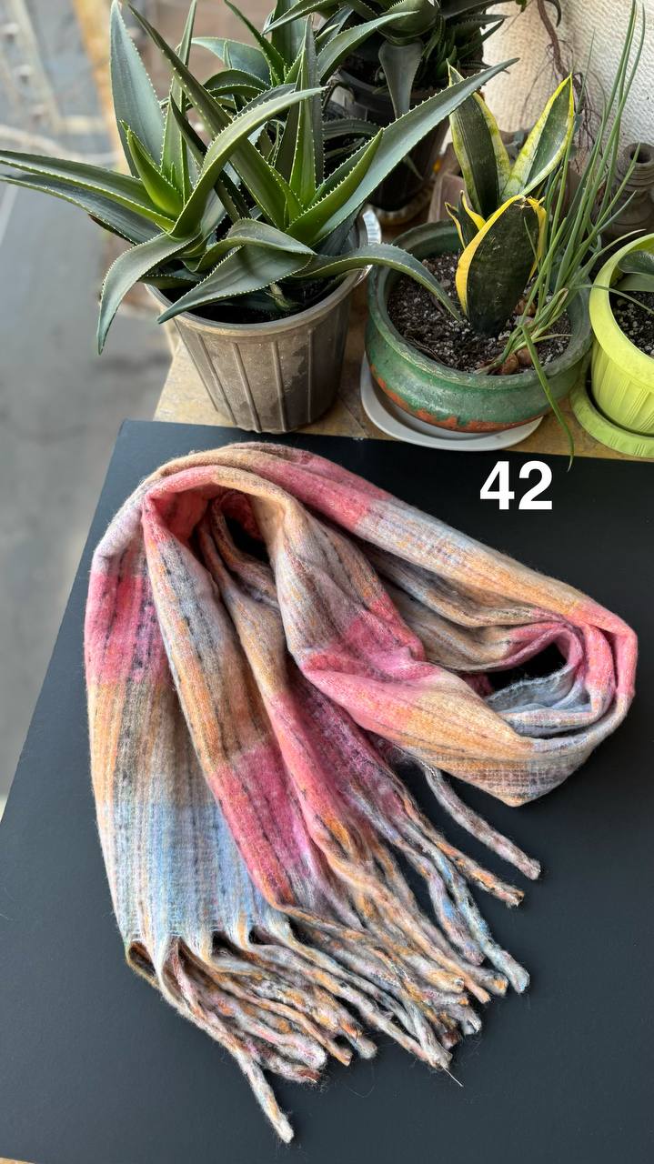 photo_6_2025-11-19_16-44-23