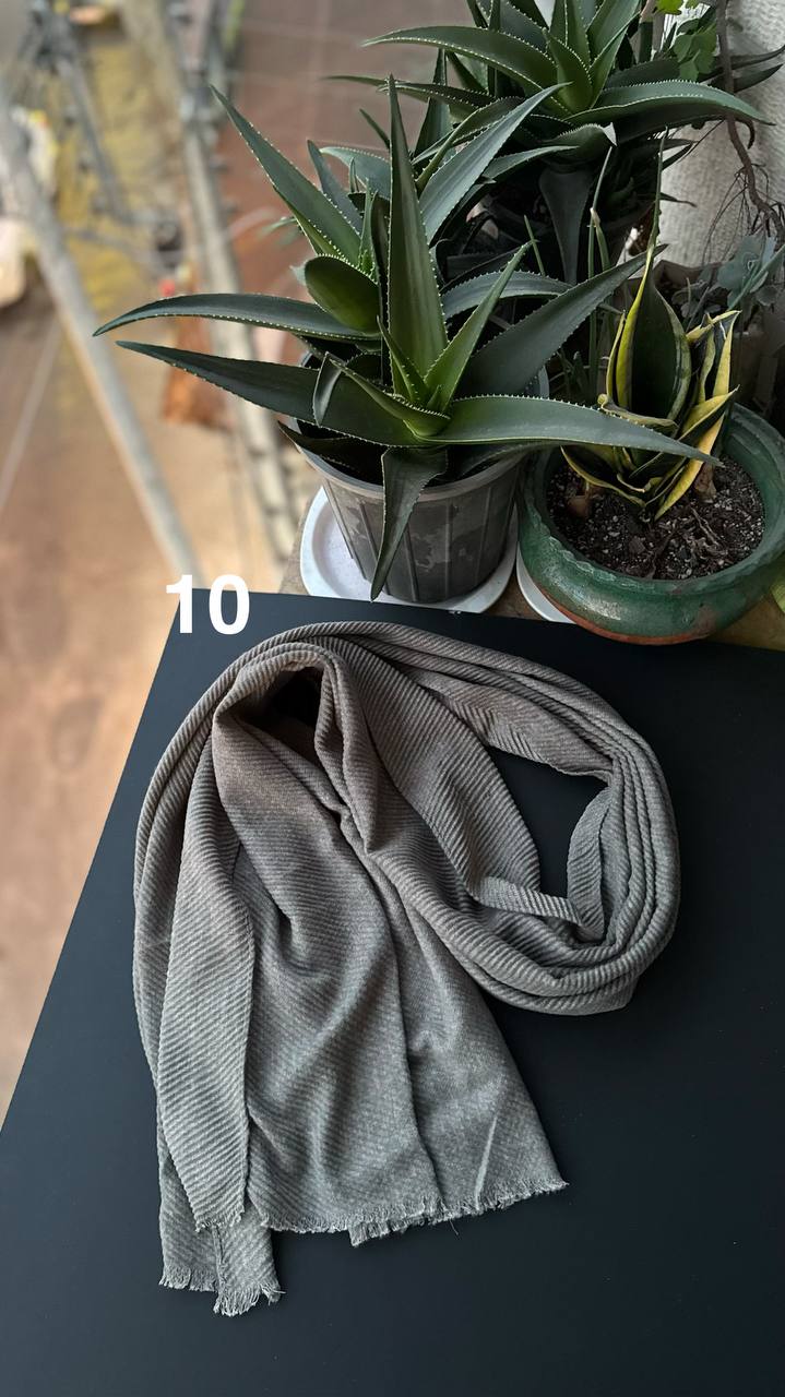 photo_6_2025-11-25_06-51-36