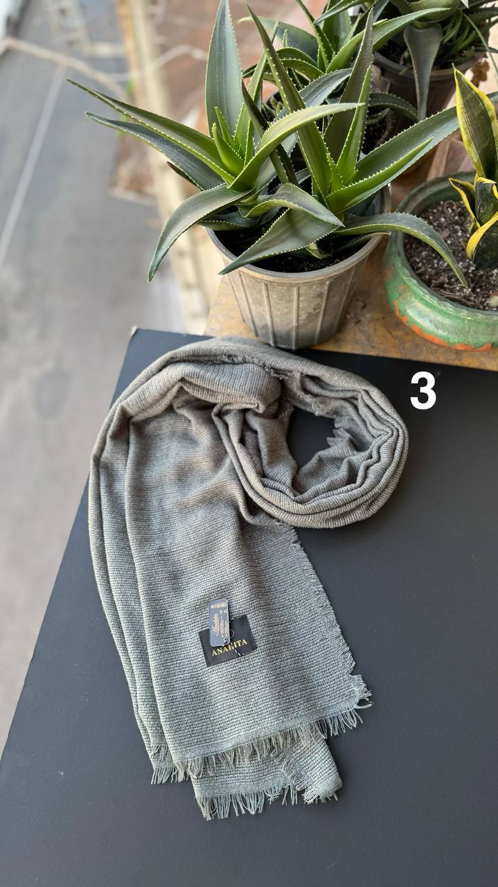 photo_7_2025-11-07_15-21-19