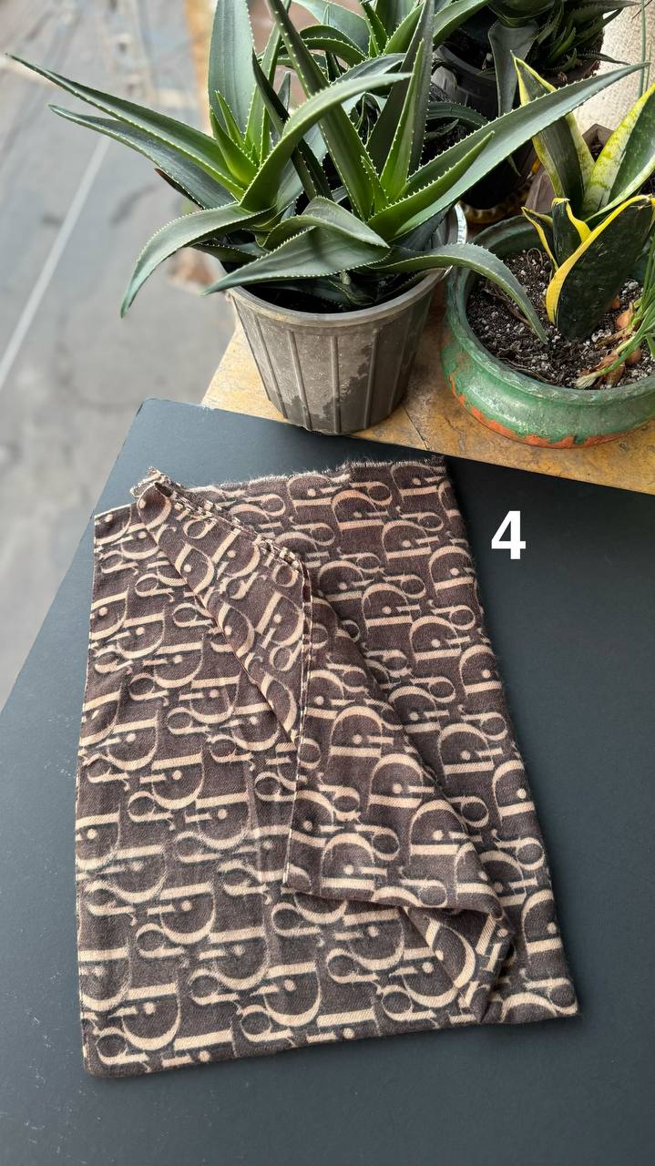 photo_7_2025-11-10_02-46-49