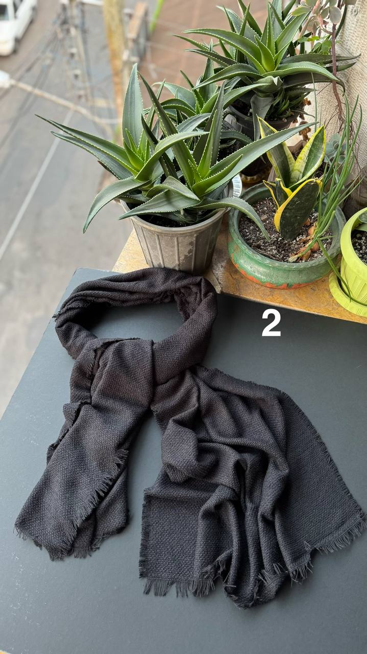 photo_7_2025-11-10_16-39-42