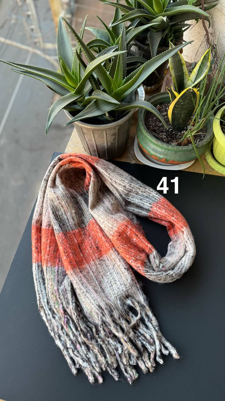 photo_7_2025-11-19_16-44-23