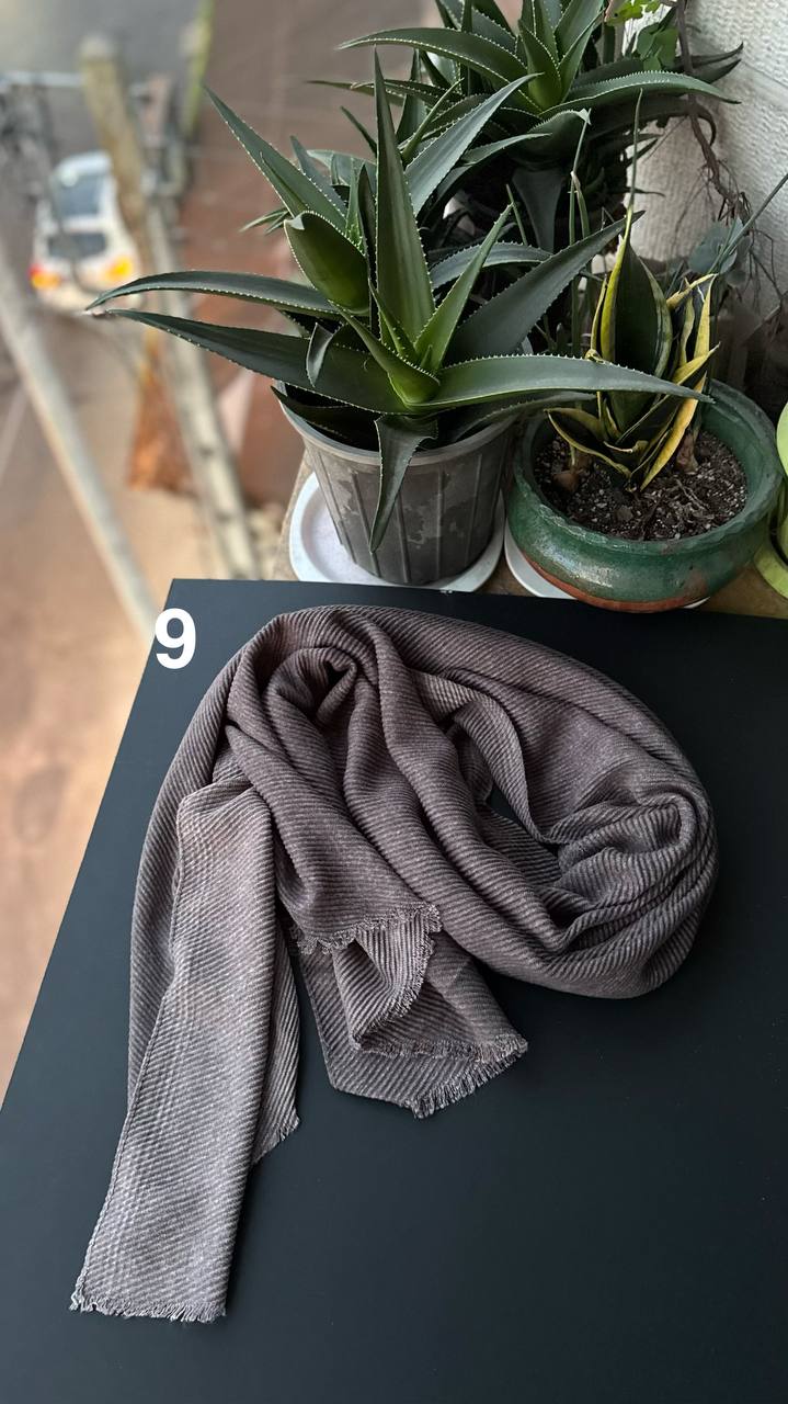 photo_7_2025-11-25_06-51-36