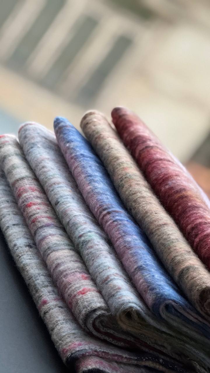 photo_8_2025-11-01_13-50-43