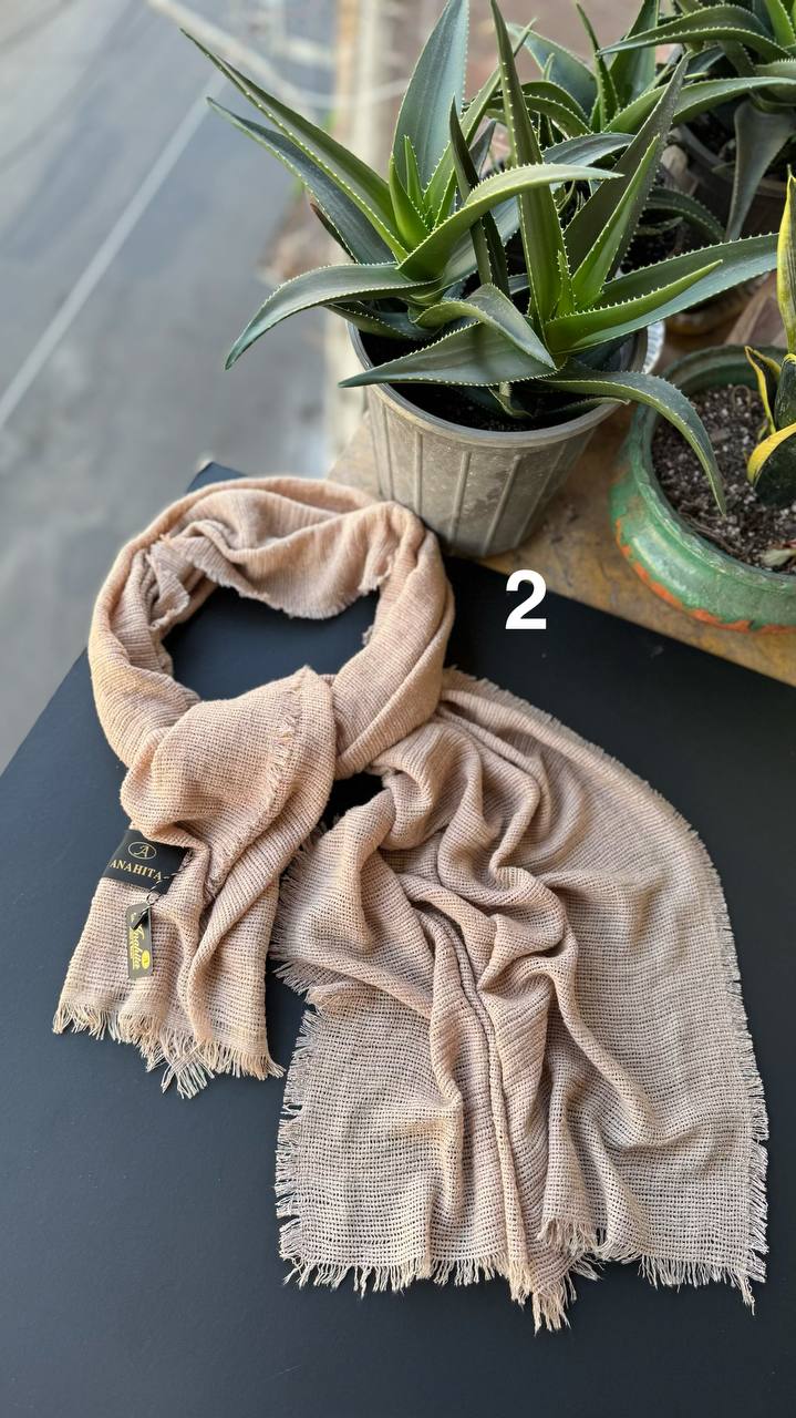 photo_8_2025-11-07_15-21-19