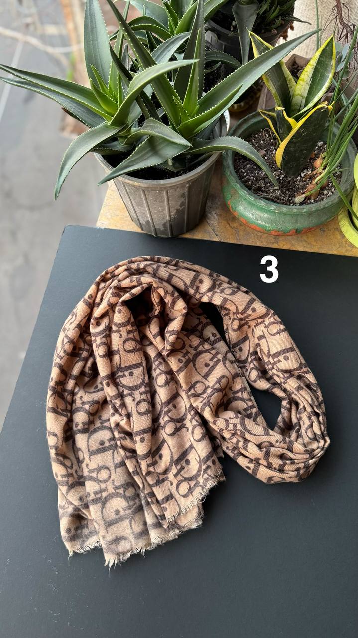 photo_8_2025-11-10_02-46-49