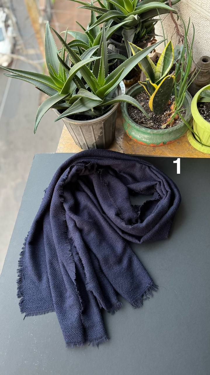 photo_8_2025-11-10_16-39-42