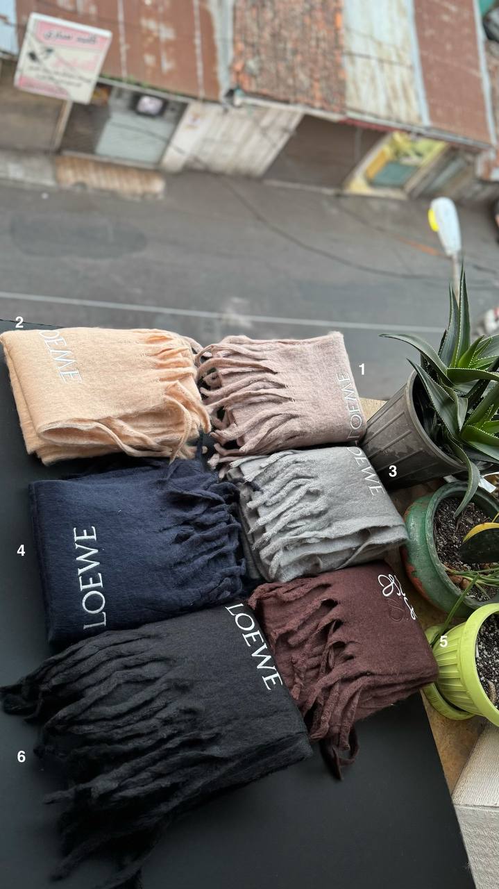 photo_8_2025-11-13_17-38-23