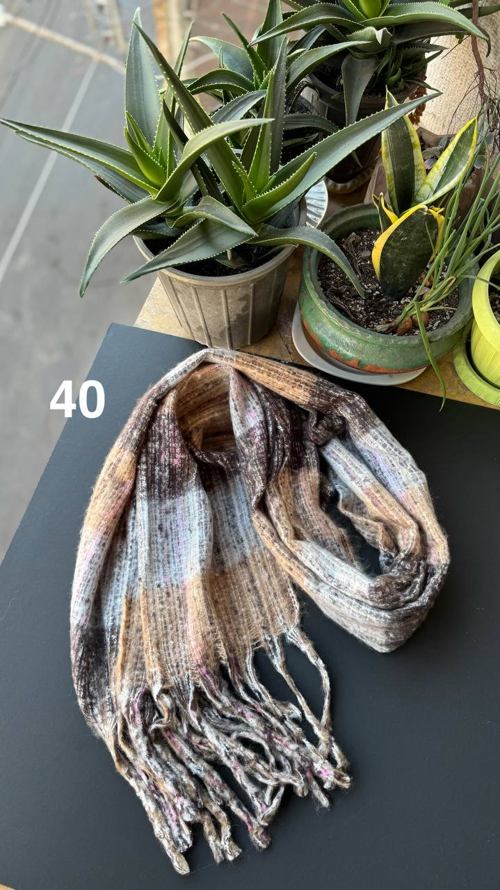 photo_8_2025-11-19_16-44-23