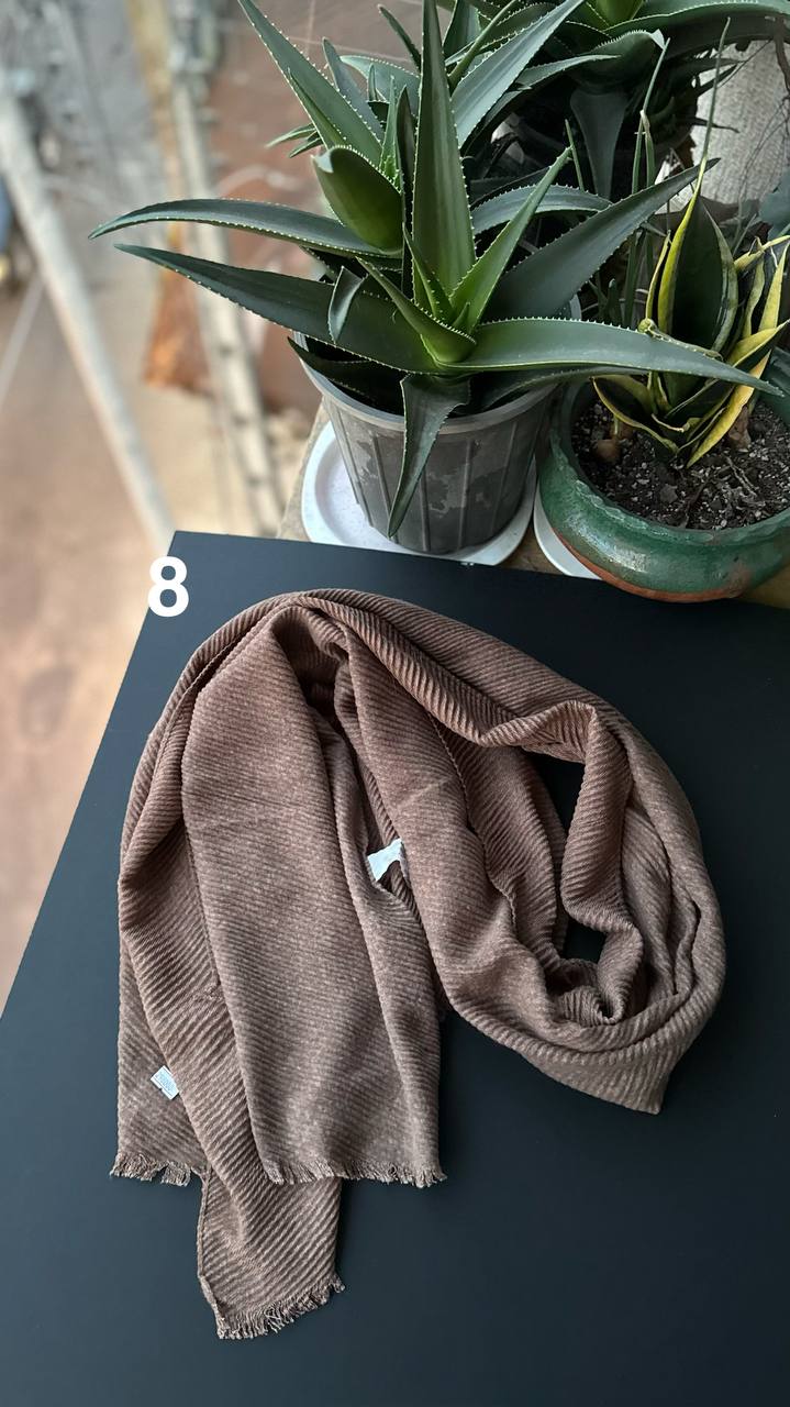 photo_8_2025-11-25_06-51-36