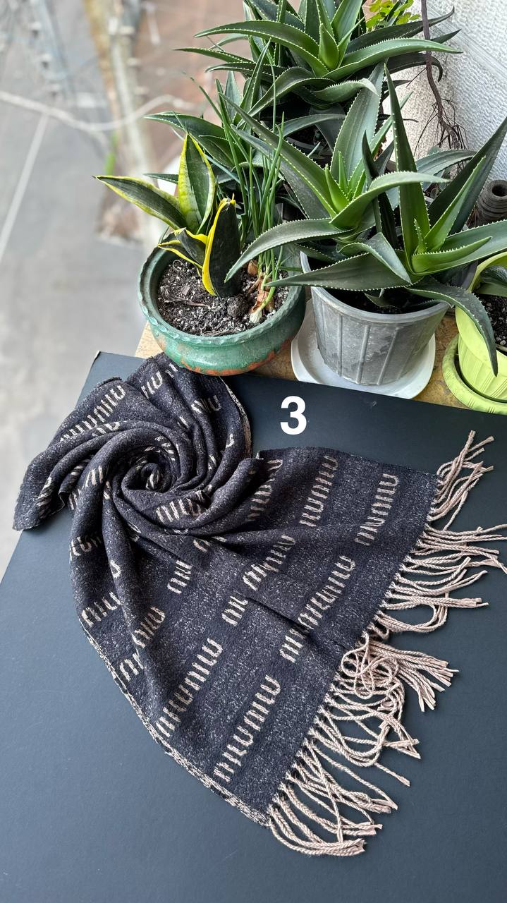 photo_9_2025-11-06_14-08-40