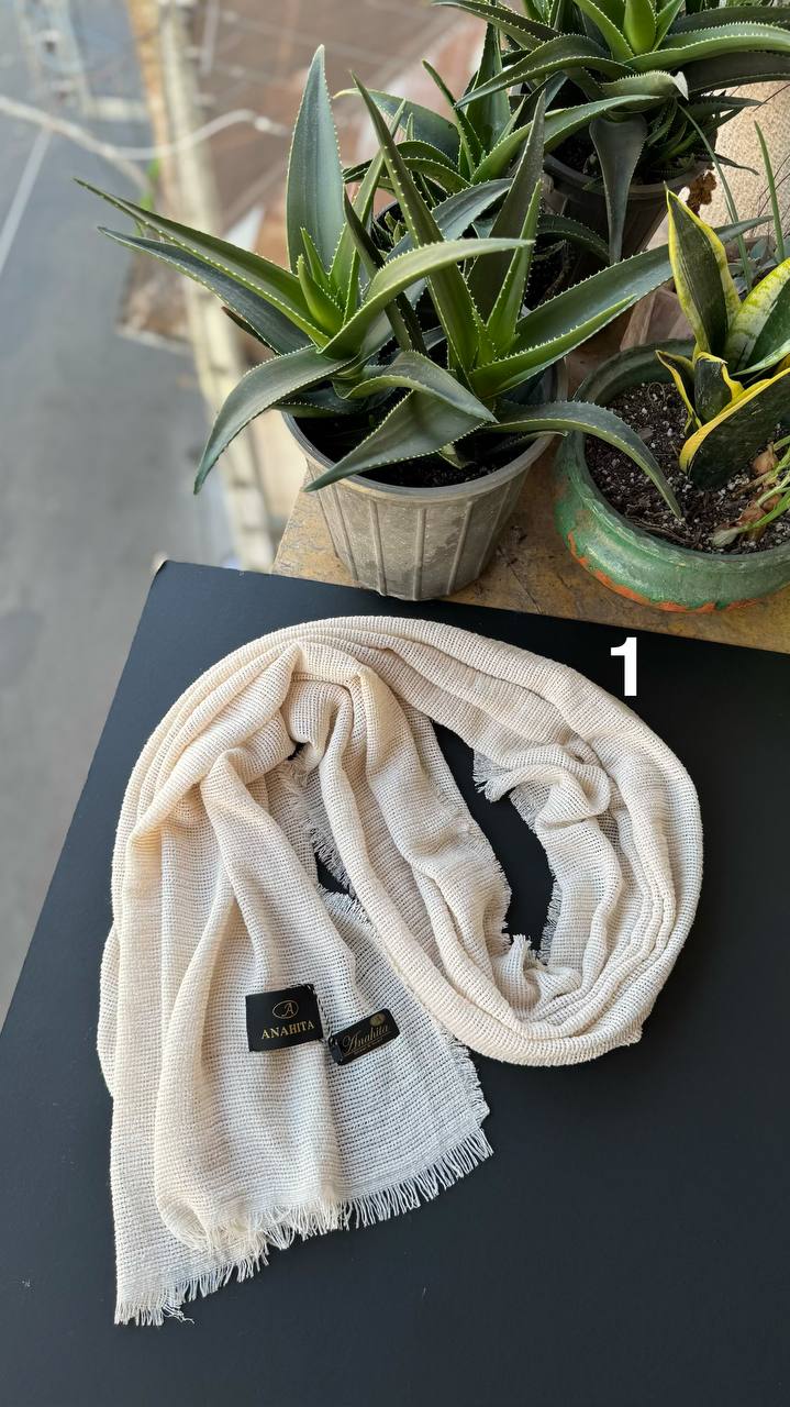 photo_9_2025-11-07_15-21-19