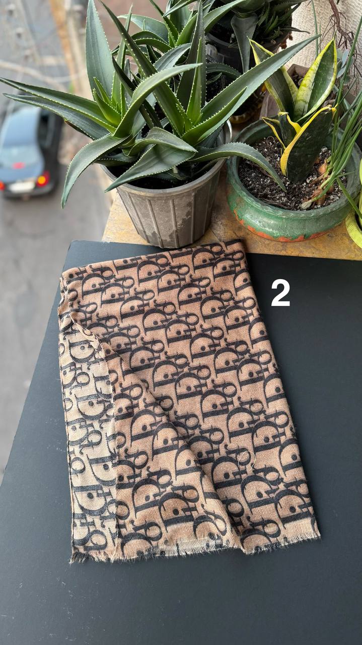 photo_9_2025-11-10_02-46-49