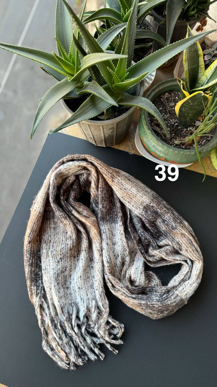 photo_9_2025-11-19_16-44-23