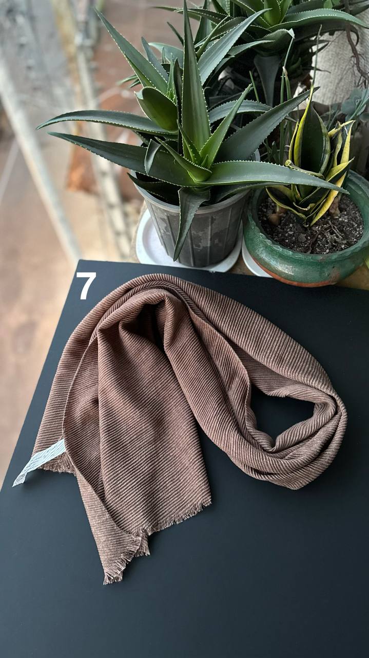 photo_9_2025-11-25_06-51-36