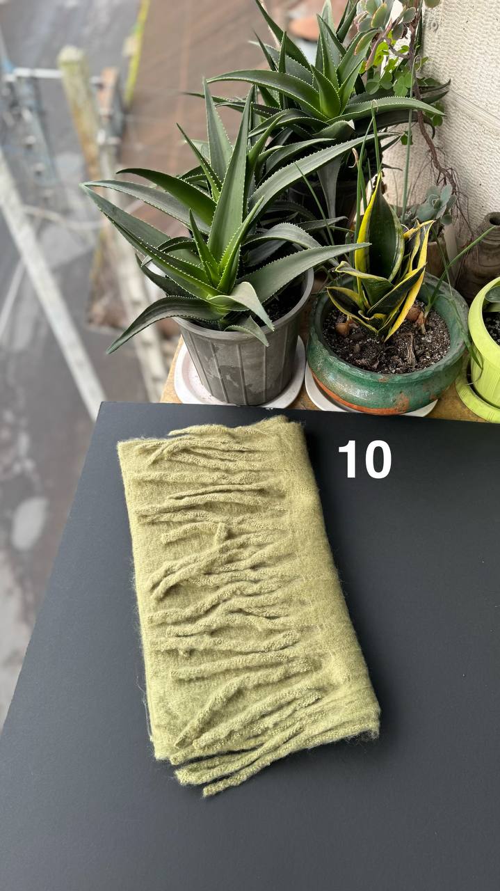 photo_10_2025-12-03_16-55-39