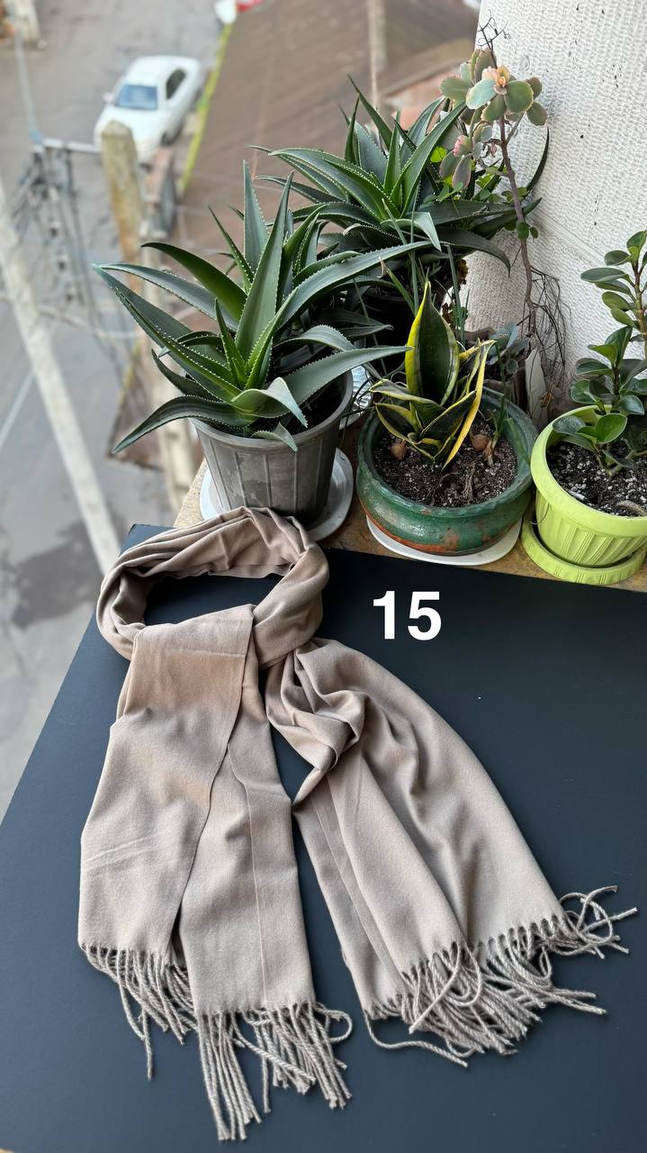 photo_10_2025-12-06_06-19-19