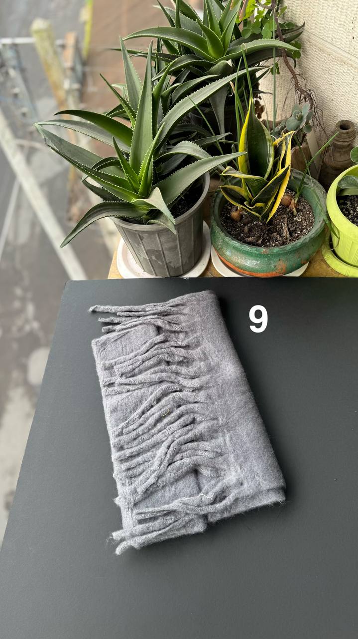 photo_11_2025-12-03_16-55-39