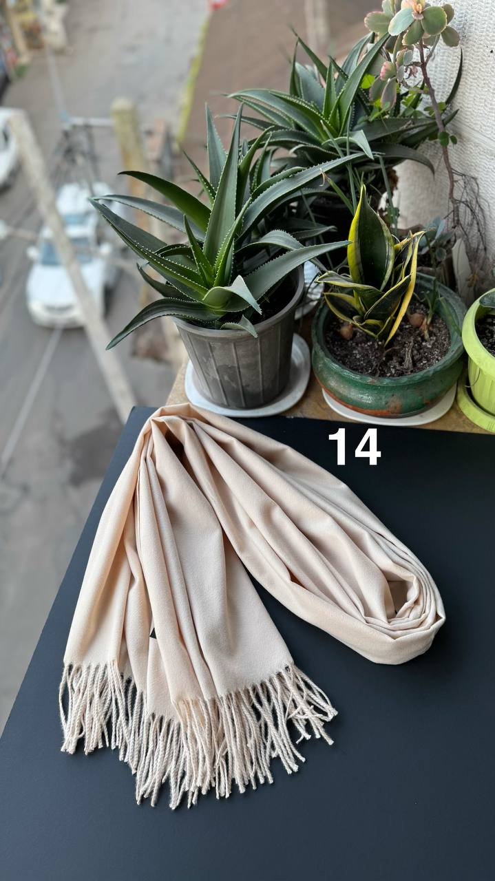 photo_11_2025-12-06_06-19-19