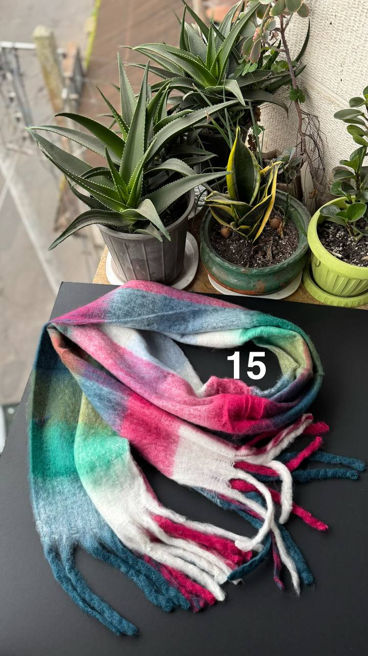 photo_11_2025-12-08_17-13-42