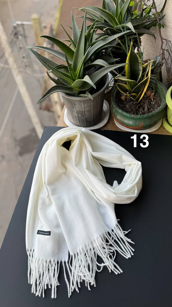 photo_12_2025-12-06_06-19-19