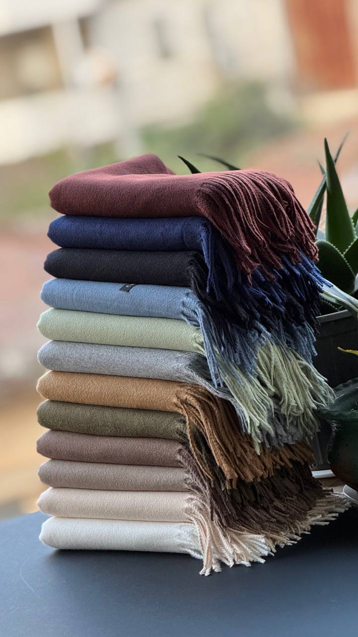 photo_13_2025-12-06_06-19-19