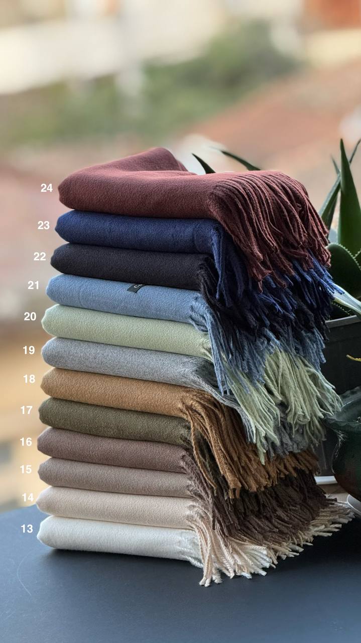 photo_14_2025-12-06_06-19-19