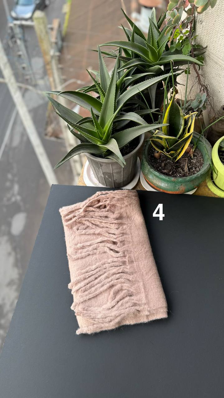 photo_16_2025-12-03_16-55-39