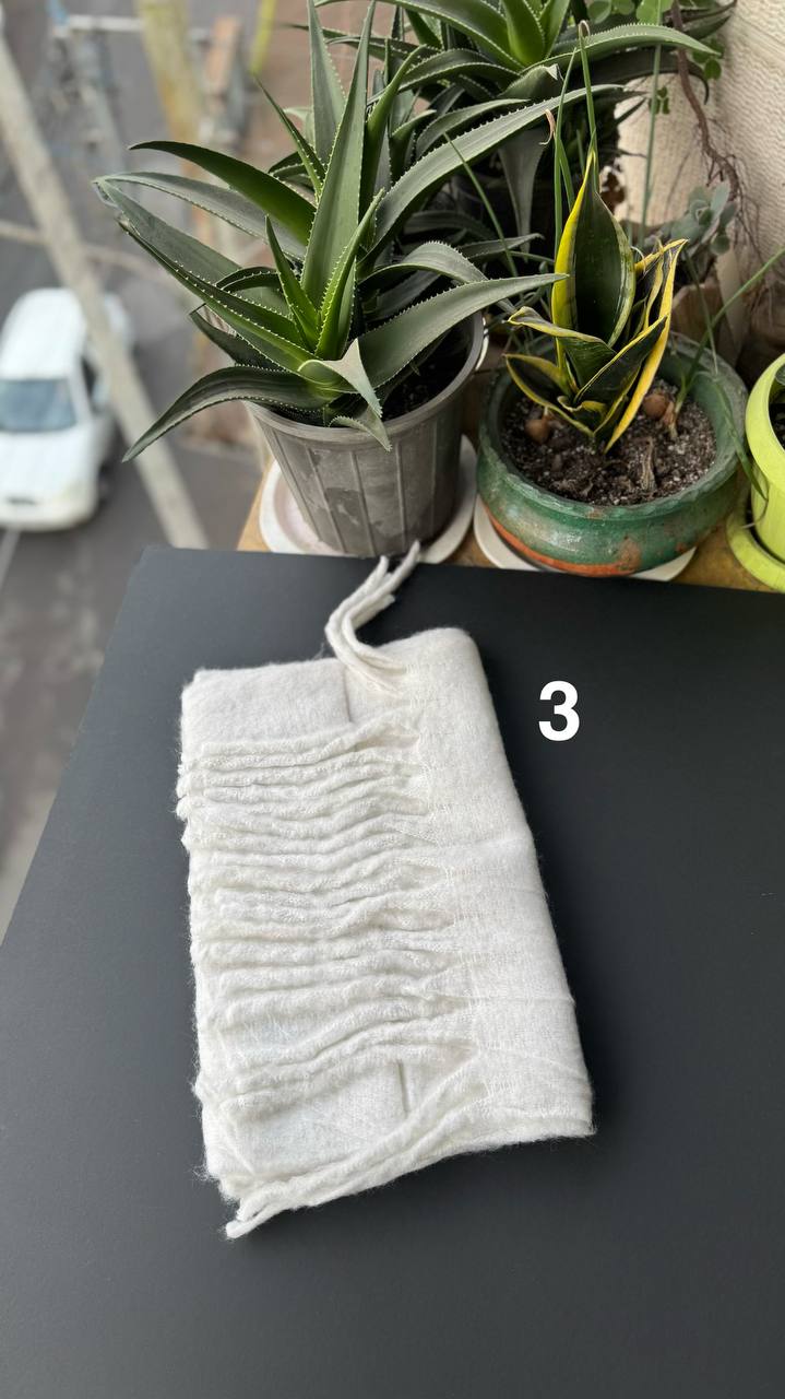 photo_17_2025-12-03_16-55-39