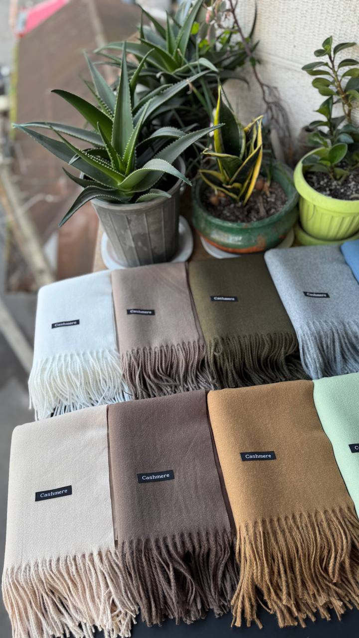 photo_17_2025-12-06_06-19-19