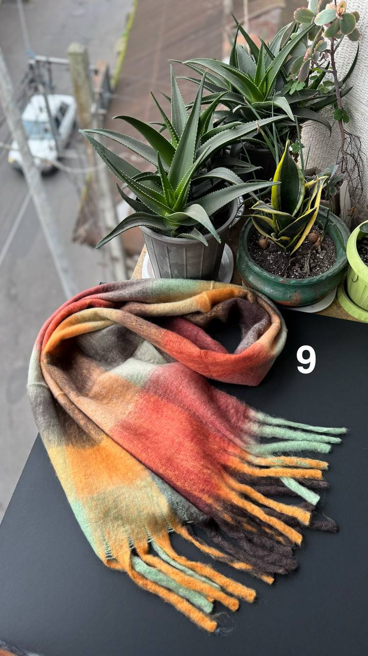 photo_17_2025-12-08_17-13-42