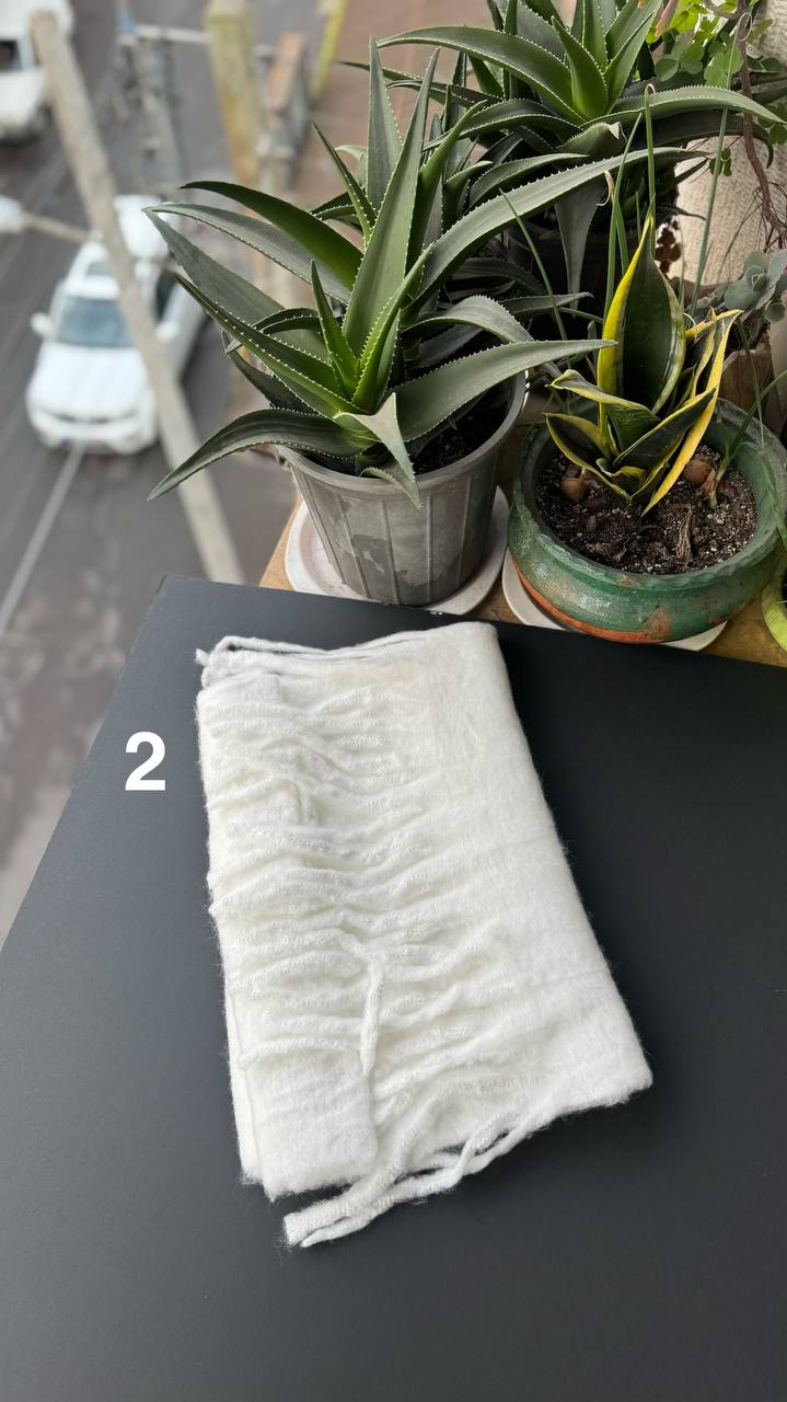 photo_18_2025-12-03_16-55-39