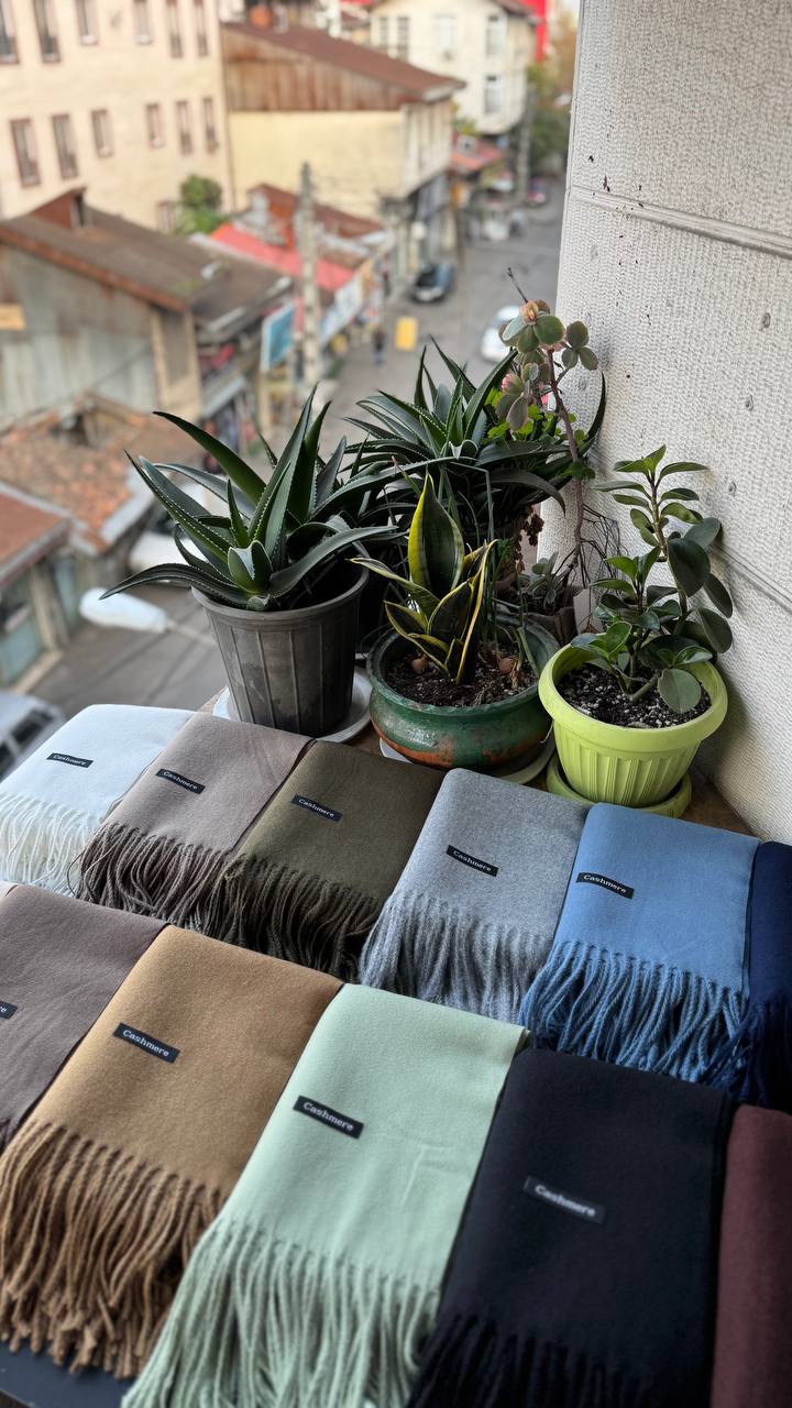 photo_18_2025-12-06_06-19-19