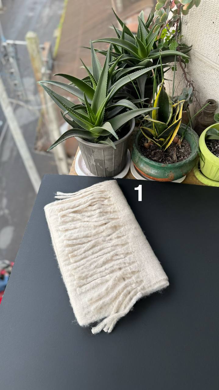 photo_19_2025-12-03_16-55-39