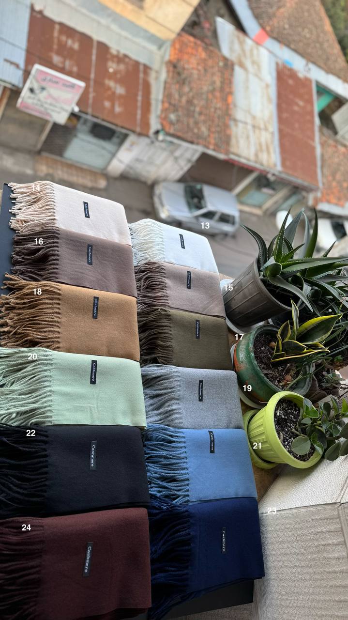 photo_19_2025-12-06_06-19-19